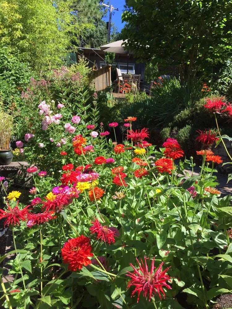 Professional landscape design experts serving Eugene, OR - Turning Leaf Landscape Maintenance