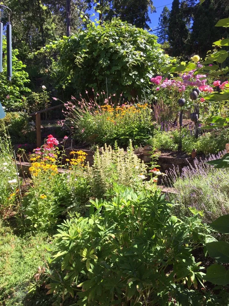 Reliable lawn care service near you across Eugene, OR - Turning Leaf Landscape Maintenance