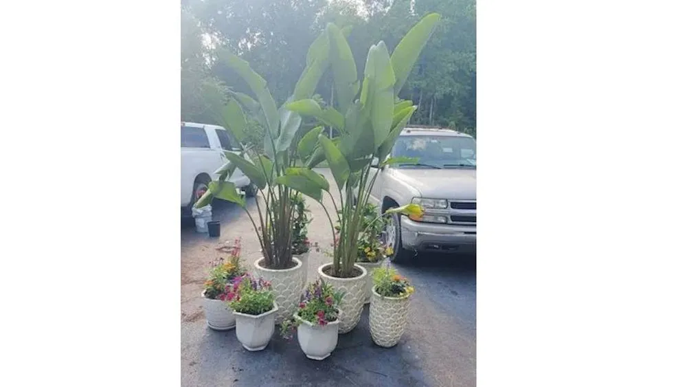 Expert outdoor landscaping in Frankford, DE by Turning Leaf Landscapes