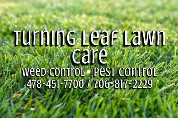 Affordable lawn mowing service experts serving Pendergrass, GA - Turning Leaf Lawn Care
