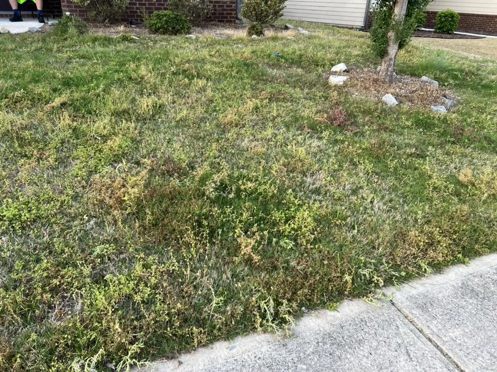 Trusted landscape design experts serving Pendergrass, GA - Turning Leaf Lawn Care