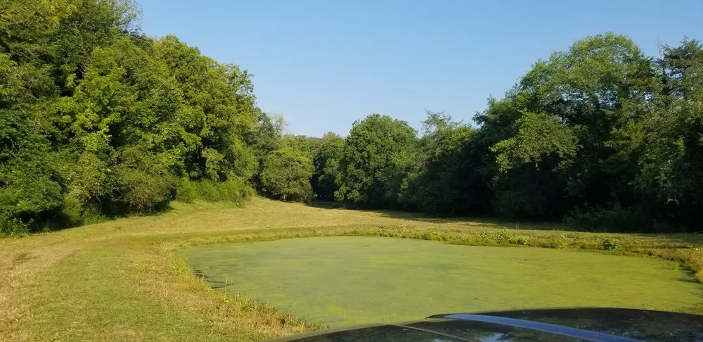 Custom yard cleanup service in Fayetteville, TN - Turning Point Solutions