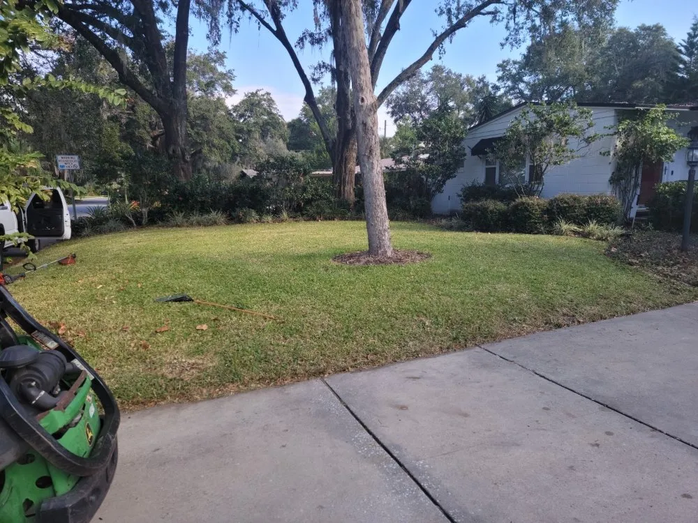 Professional residential landscaping experts serving Orlando, FL - Turo Outdoor Care