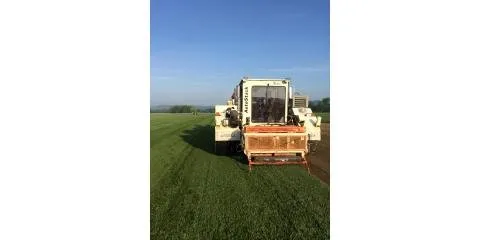 Top-rated yard maintenance for outdoor upgrades in Cincinnati, OH by Turpin Farms