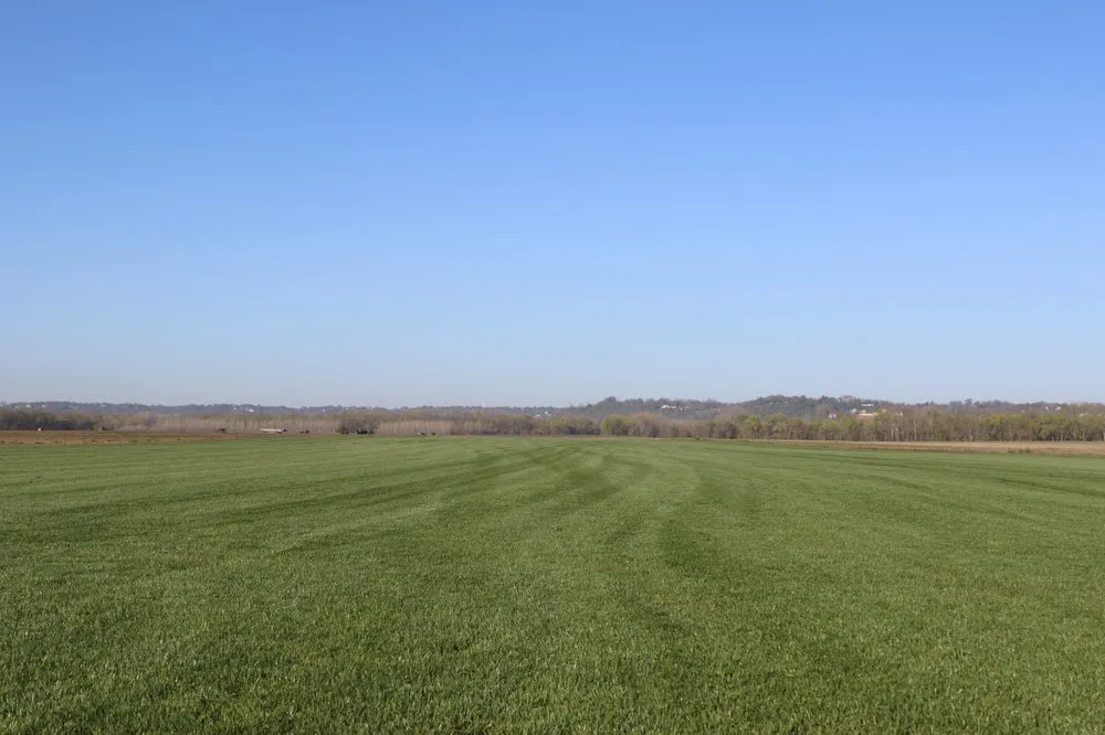 Trusted yard cleanup service in Cincinnati, OH - Turpin Farms