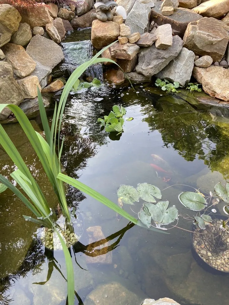 Local landscaping services in Coatesville, PA - Turpin Landscape Design Build