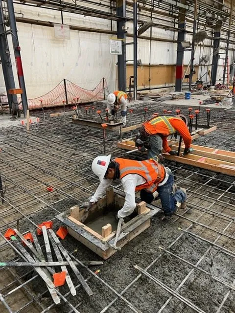 Professional lawn care service for year-round maintenance across Long Beach, CA - Turpin Landscaping & Construction