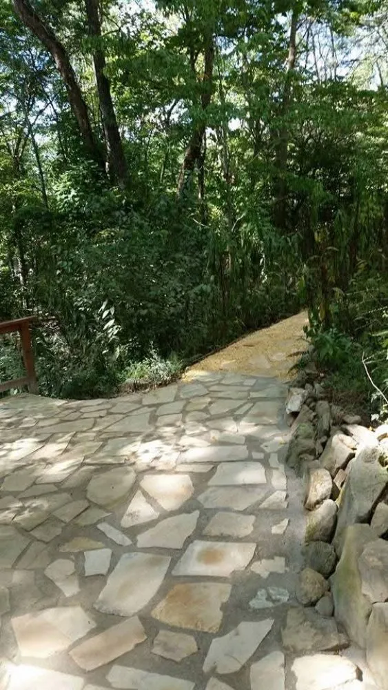 Local residential landscaping for year-round maintenance in Brasstown, NC by Turpin's Home Services