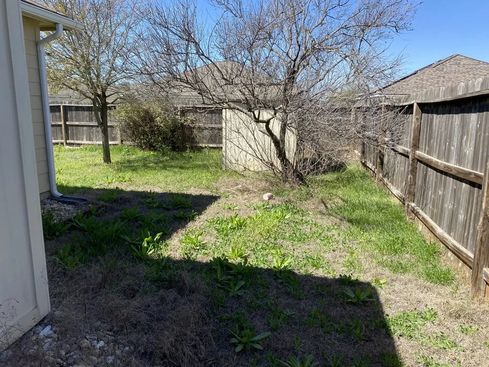 Reliable yard maintenance for residential properties in Killeen, TX by Turrell Scape