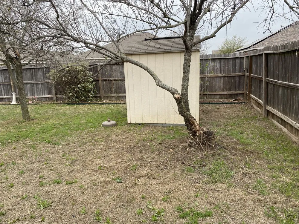 Trusted landscape installation experts serving Killeen, TX - Turrell Scape