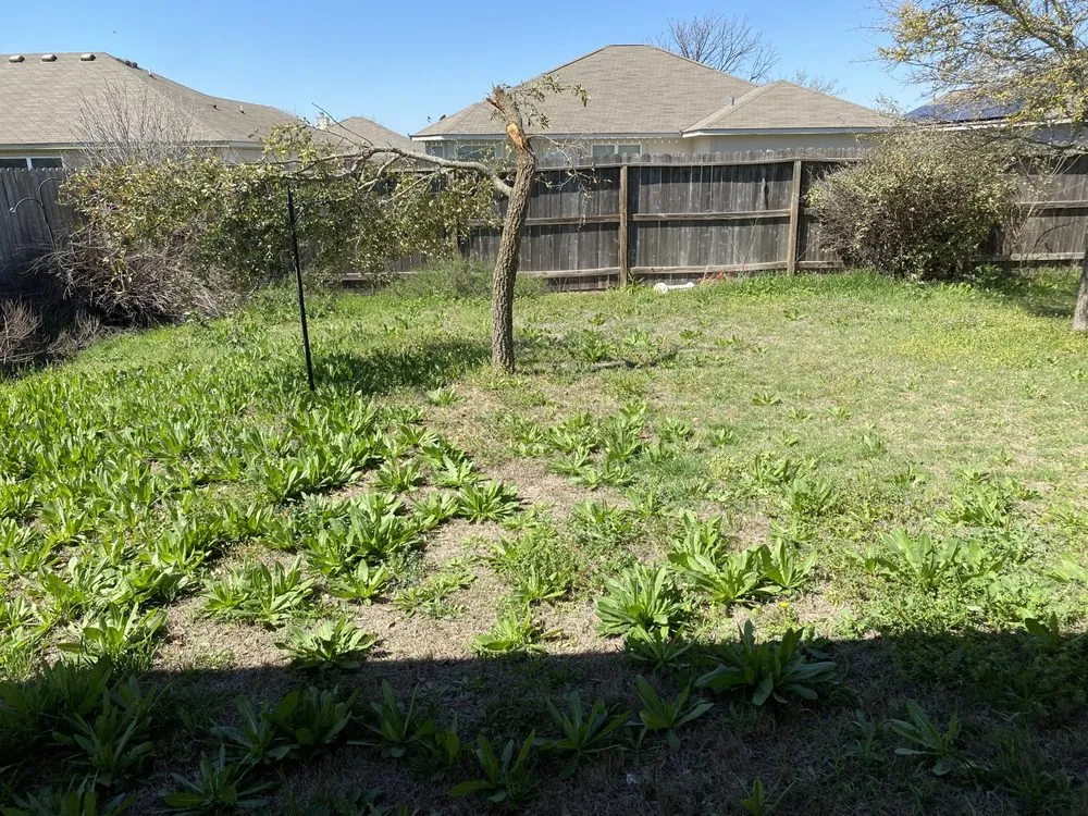 Top-rated landscape design for year-round maintenance across Killeen, TX - Turrell Scape