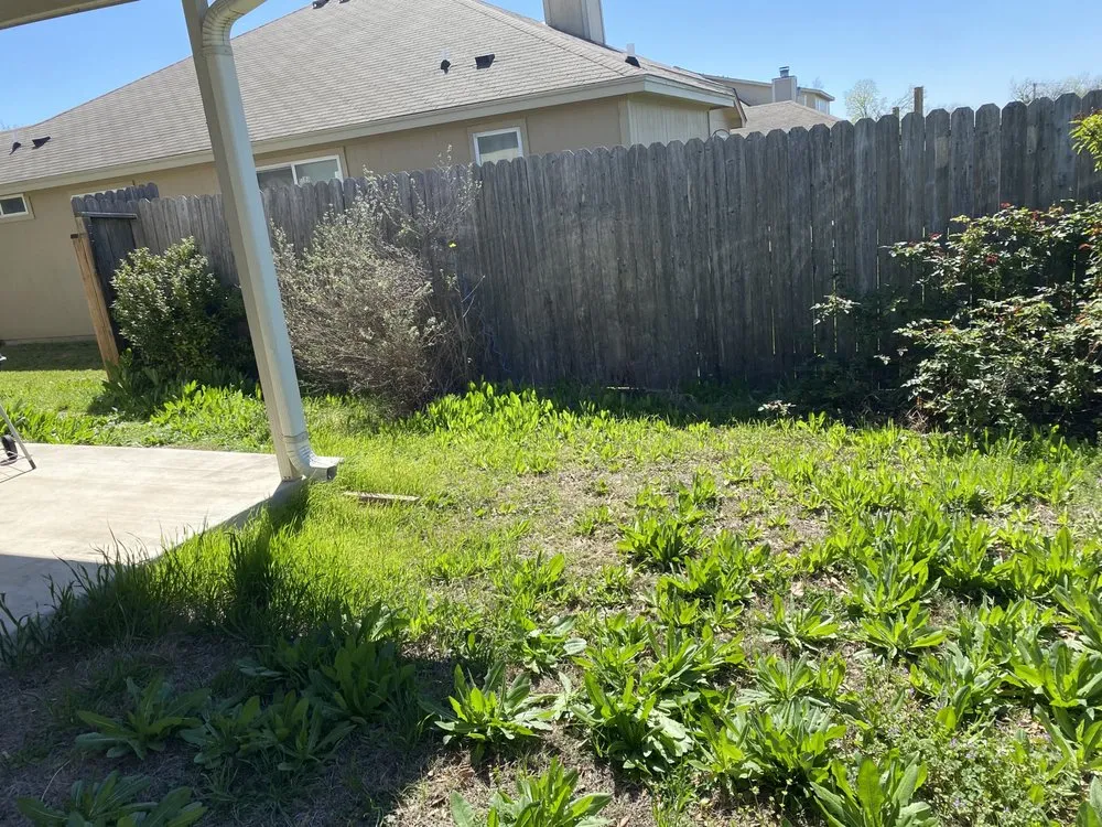 Top-rated landscape design in Killeen, TX by Turrell Scape