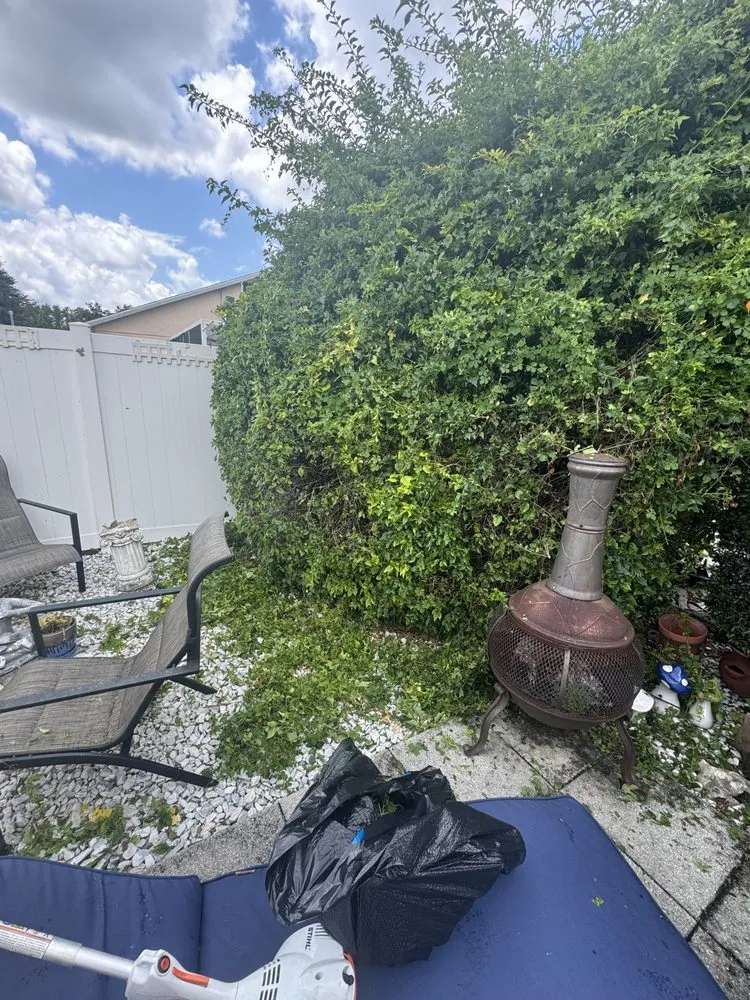 Trusted yard maintenance for homes across Tampa, FL - Turtle Beach Landscape