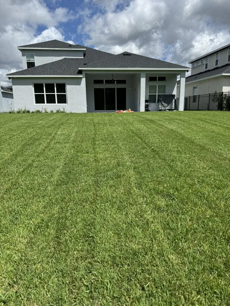 Affordable landscape installation for year-round maintenance in Tampa, FL by Turtle Beach Landscape