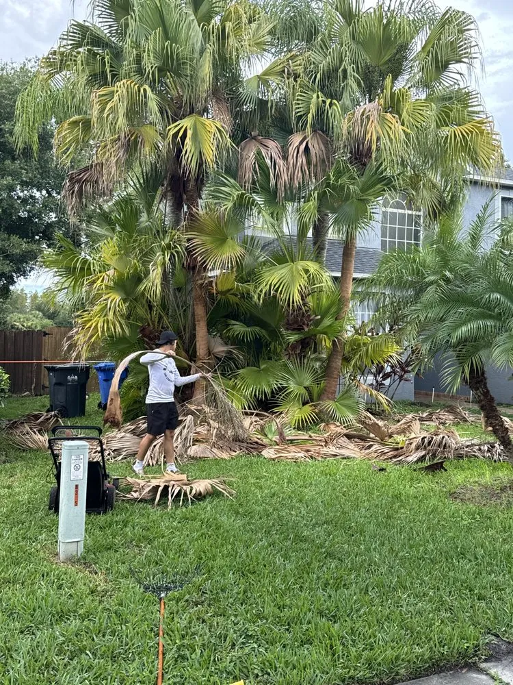 Top-rated residential landscaping for homes in Tampa, FL by Turtle Beach Landscape