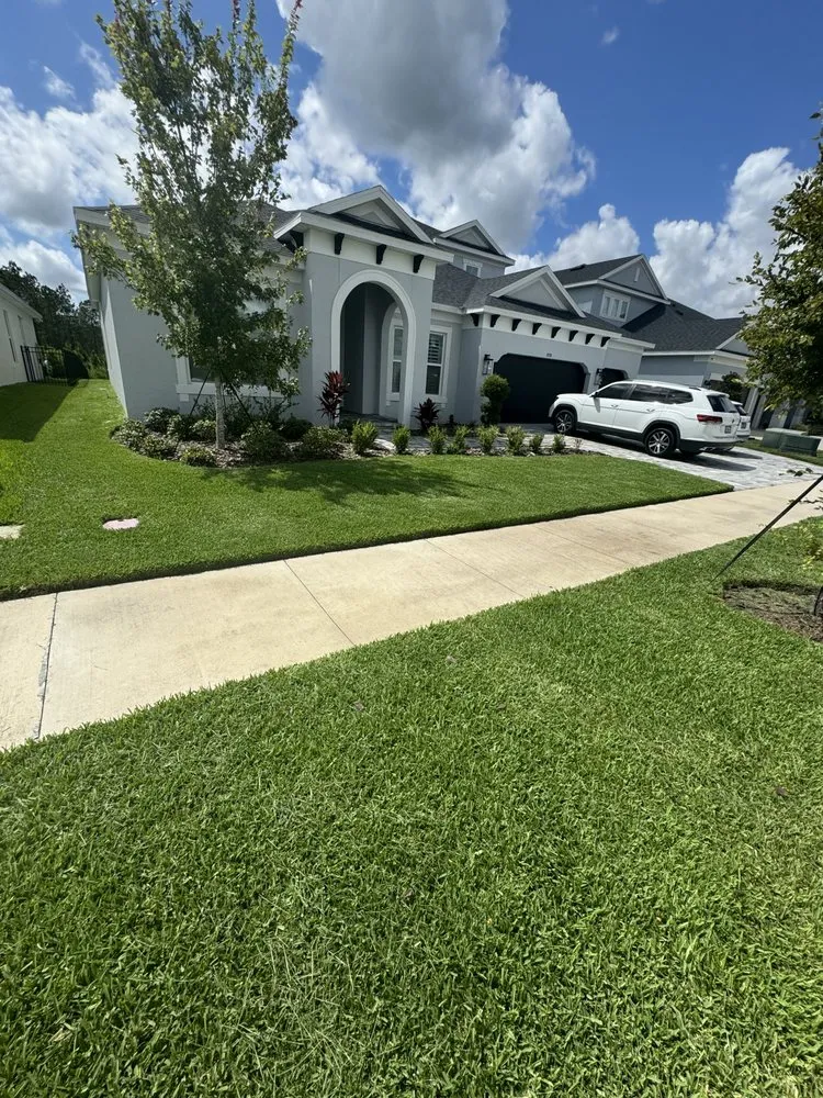 Trusted landscape installation in Tampa, FL - Turtle Beach Landscape