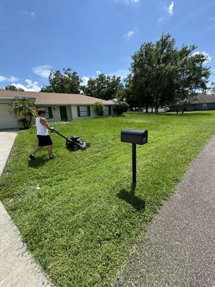 Custom outdoor landscaping experts serving Tampa, FL - Turtle Beach Landscape