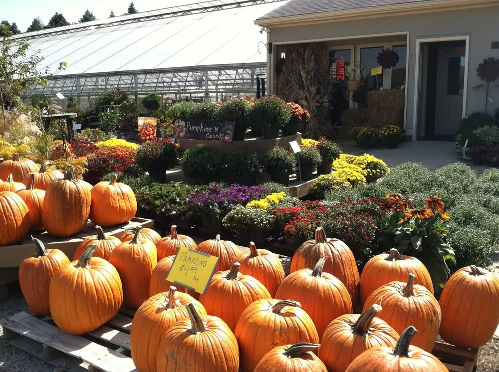Reliable garden landscaping for year-round maintenance across Owatonna, MN - Turtle Creek Nursery & Landscaping