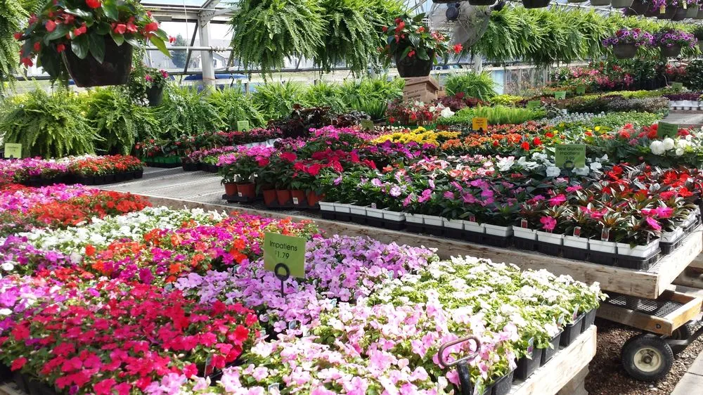 Expert lawn mowing service for outdoor upgrades across Owatonna, MN - Turtle Creek Nursery & Landscaping