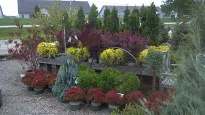 Local lawn care service in Owatonna, MN by Turtle Creek Nursery & Landscaping