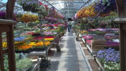 Local garden landscaping in Owatonna, MN - Turtle Creek Nursery & Landscaping