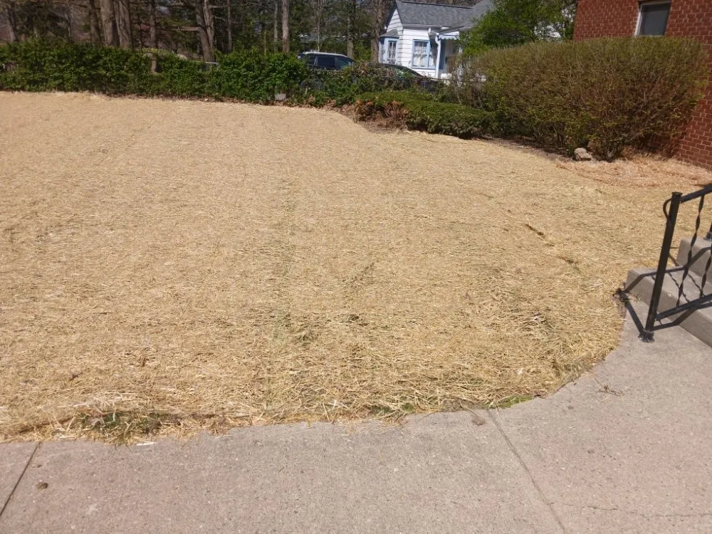 Custom yard maintenance in Indianapolis, IN by Turtle Landscaping