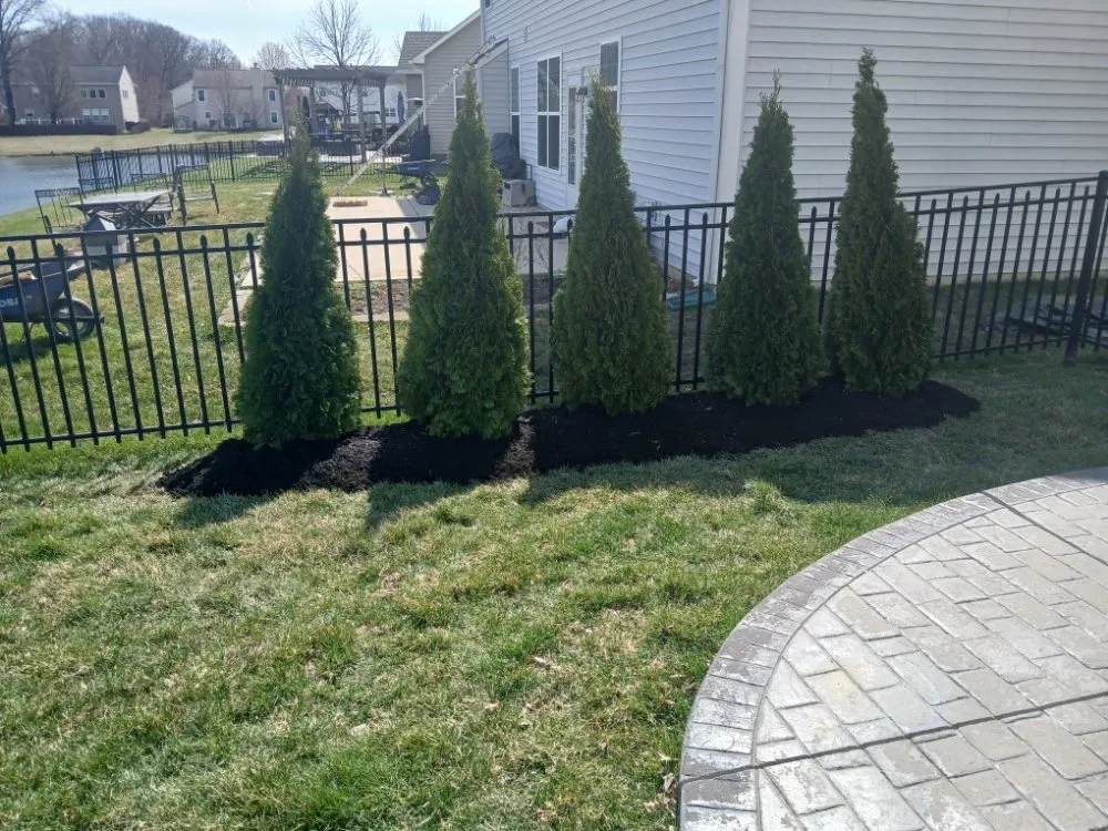 Professional outdoor landscaping experts serving Indianapolis, IN - Turtle Landscaping