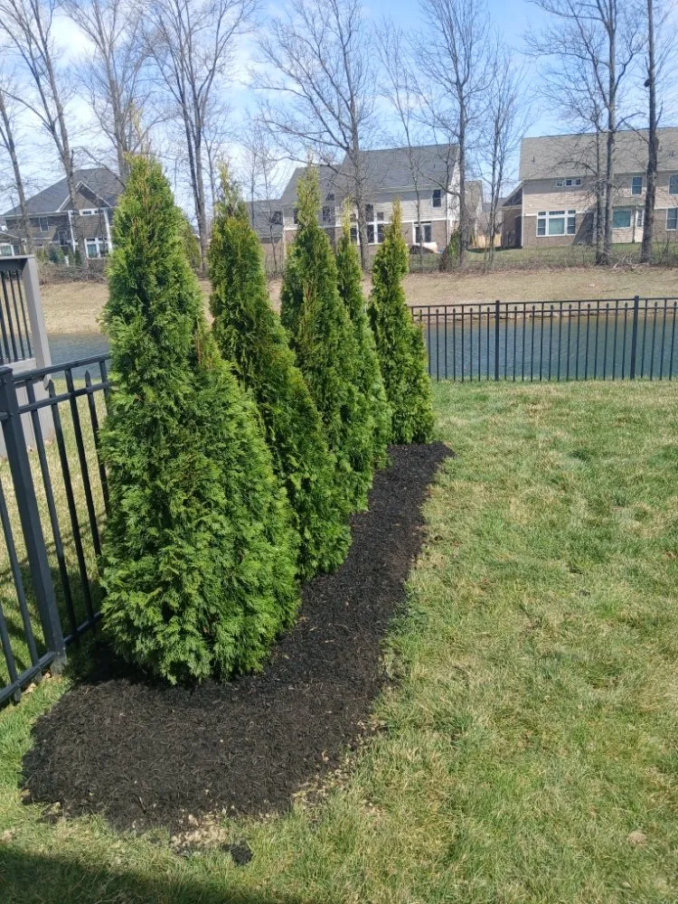 Reliable landscaping services in Indianapolis, IN - Turtle Landscaping