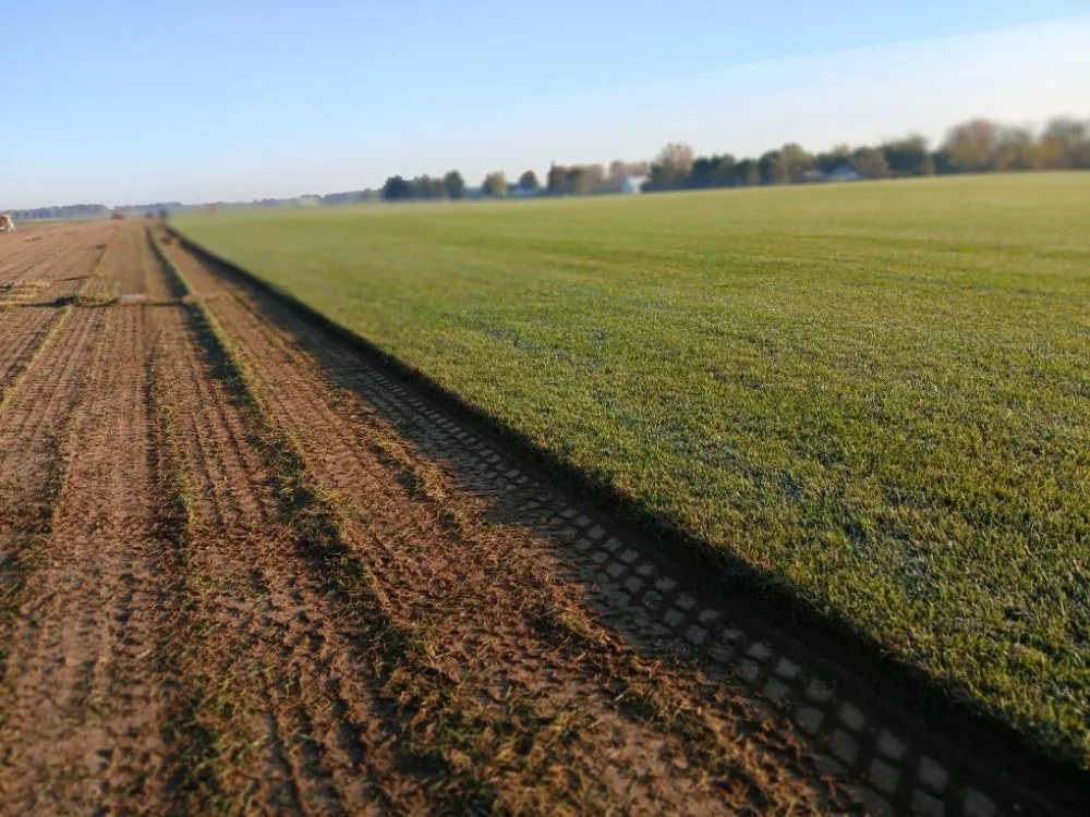 Affordable lawn mowing service experts serving Indianapolis, IN - Turtle Landscaping