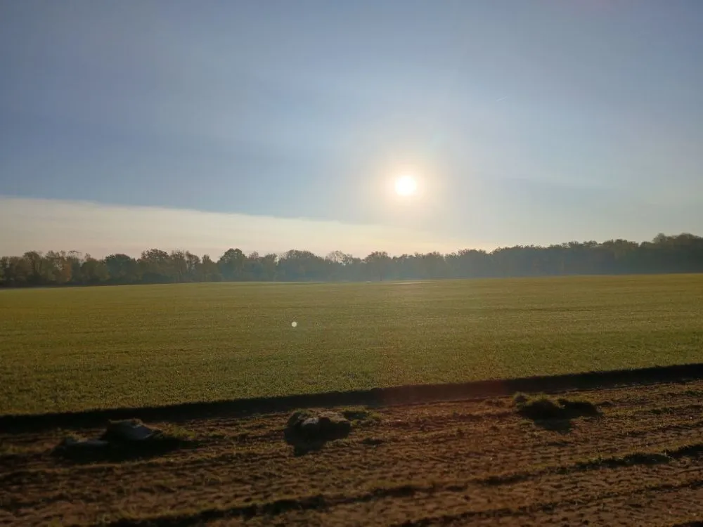 Trusted lawn mowing service experts serving Indianapolis, IN - Turtle Landscaping