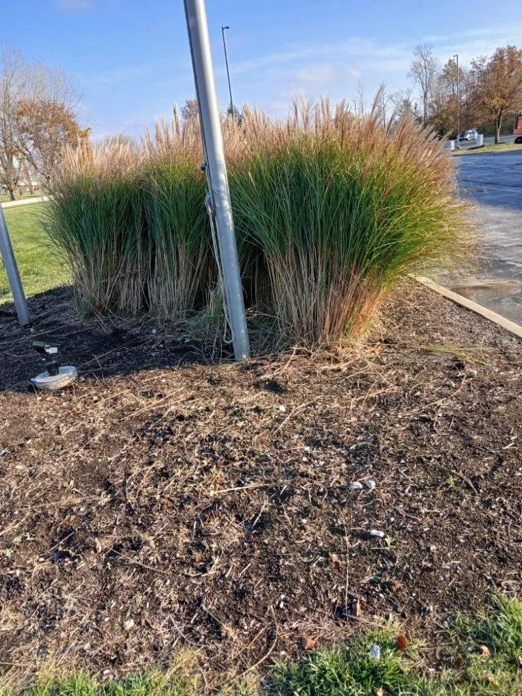 Reliable landscape design experts serving Indianapolis, IN - Turtle Landscaping