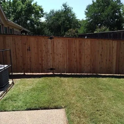 Turtle Landscaping Logo