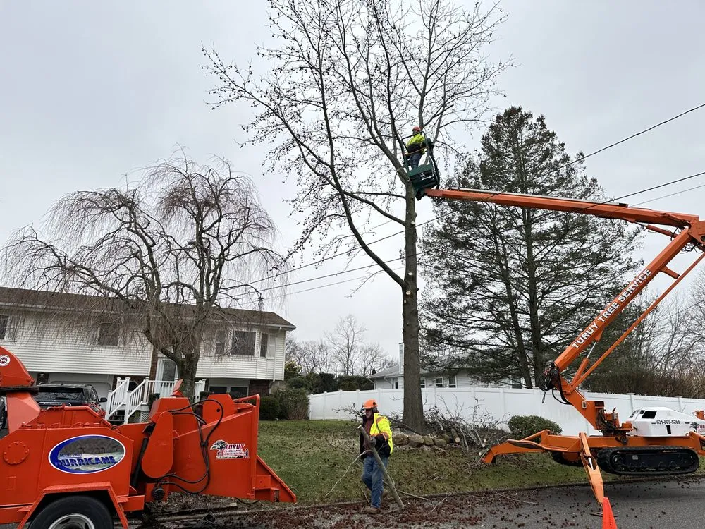 Custom landscape design in Riverhead, NY - Turuy Landscaping Services