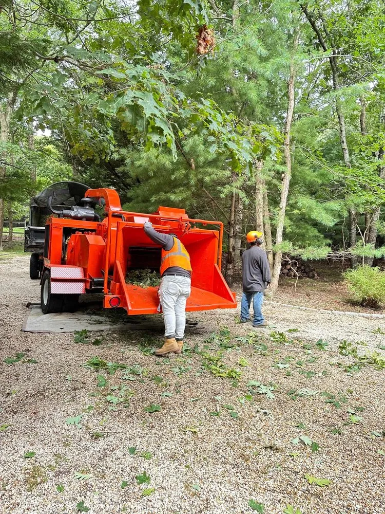 Top-rated garden landscaping in Riverhead, NY - Turuy Landscaping Services