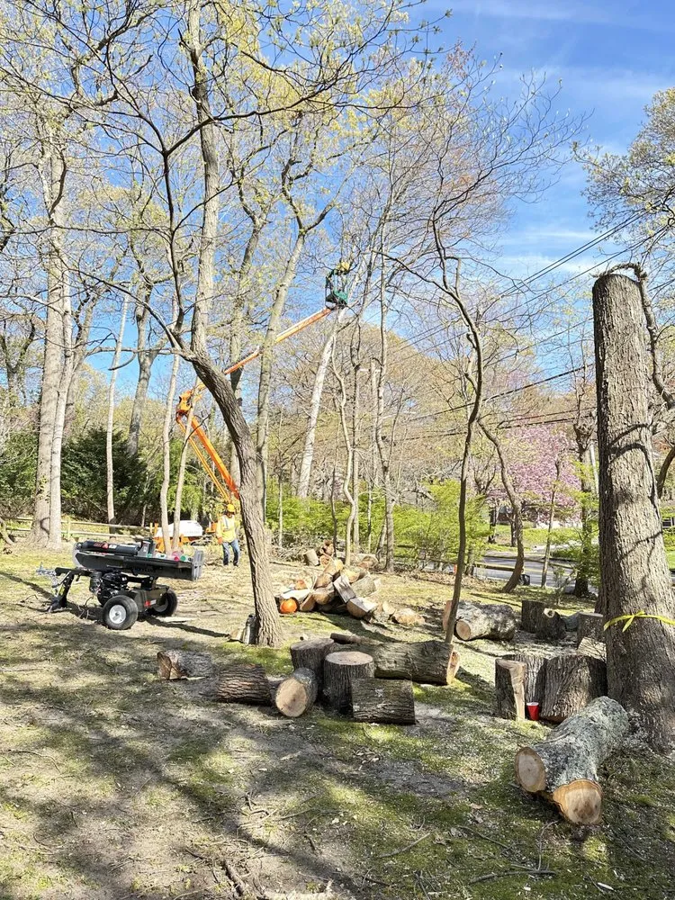 Affordable lawn mowing service near you across Riverhead, NY - Turuy Landscaping Services