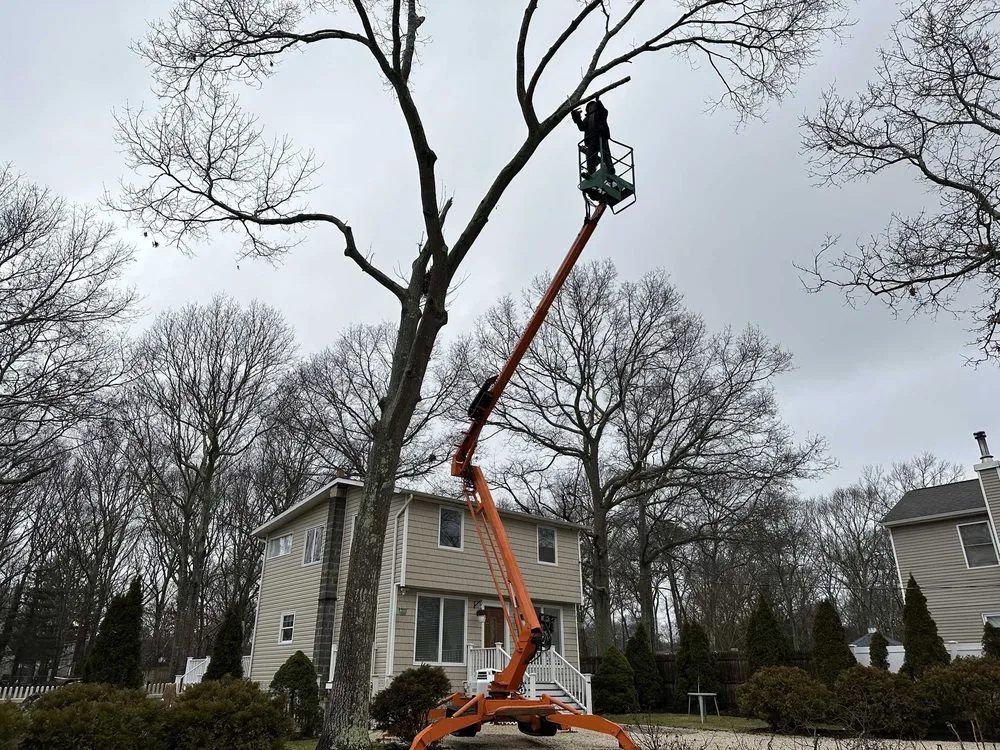 Trusted landscape design in Riverhead, NY by Turuy Landscaping Services