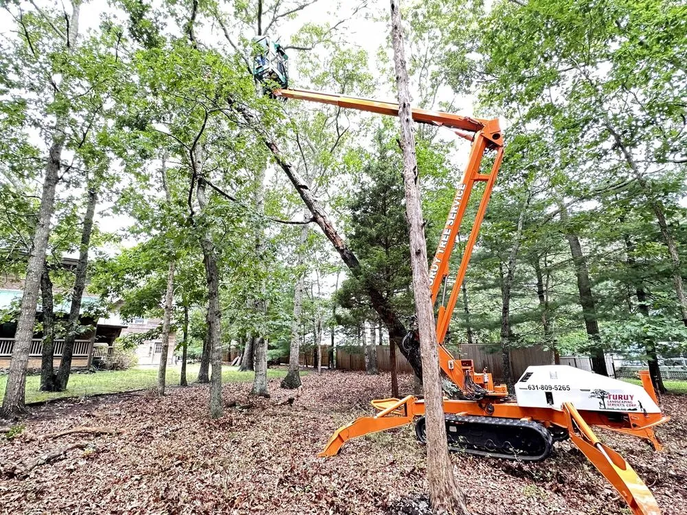 Custom yard maintenance in Riverhead, NY by Turuy Landscaping Services