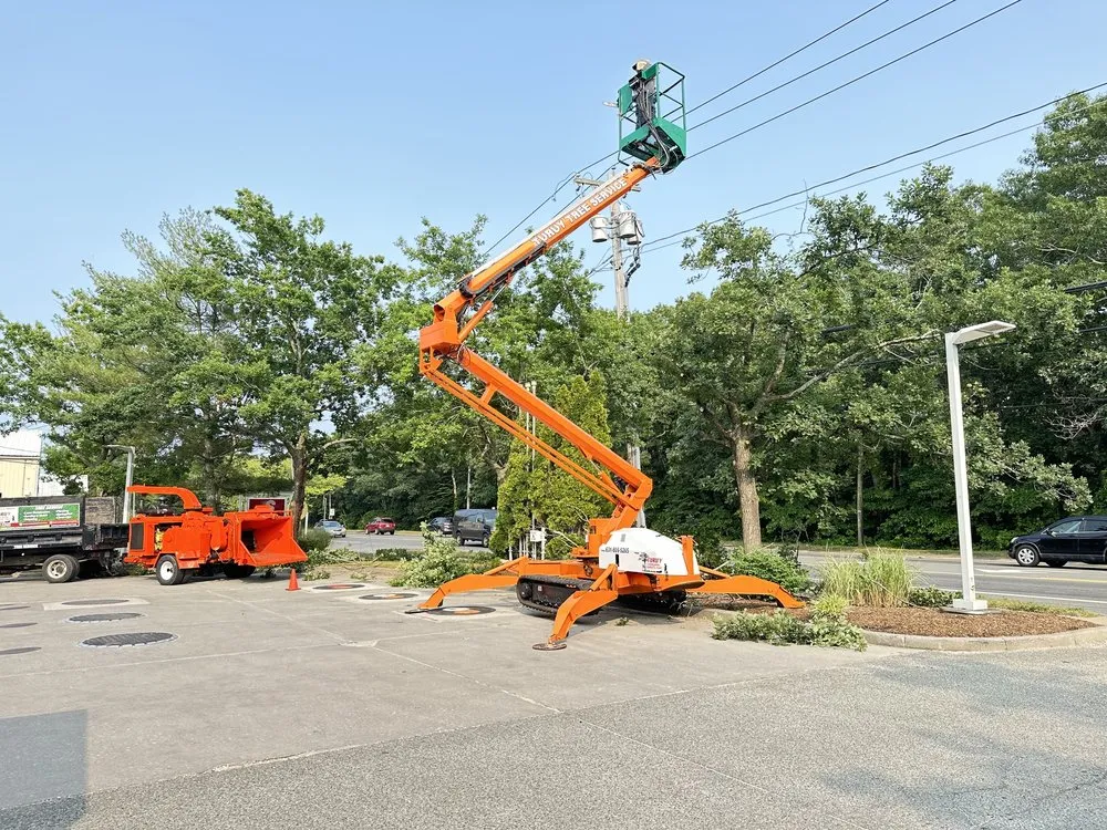 Reliable yard cleanup service in Riverhead, NY by Turuy Landscaping Services