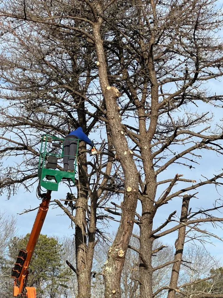 Professional lawn care service near you in Riverhead, NY by Turuy Landscaping Services