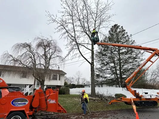 Turuy Landscaping Services Logo