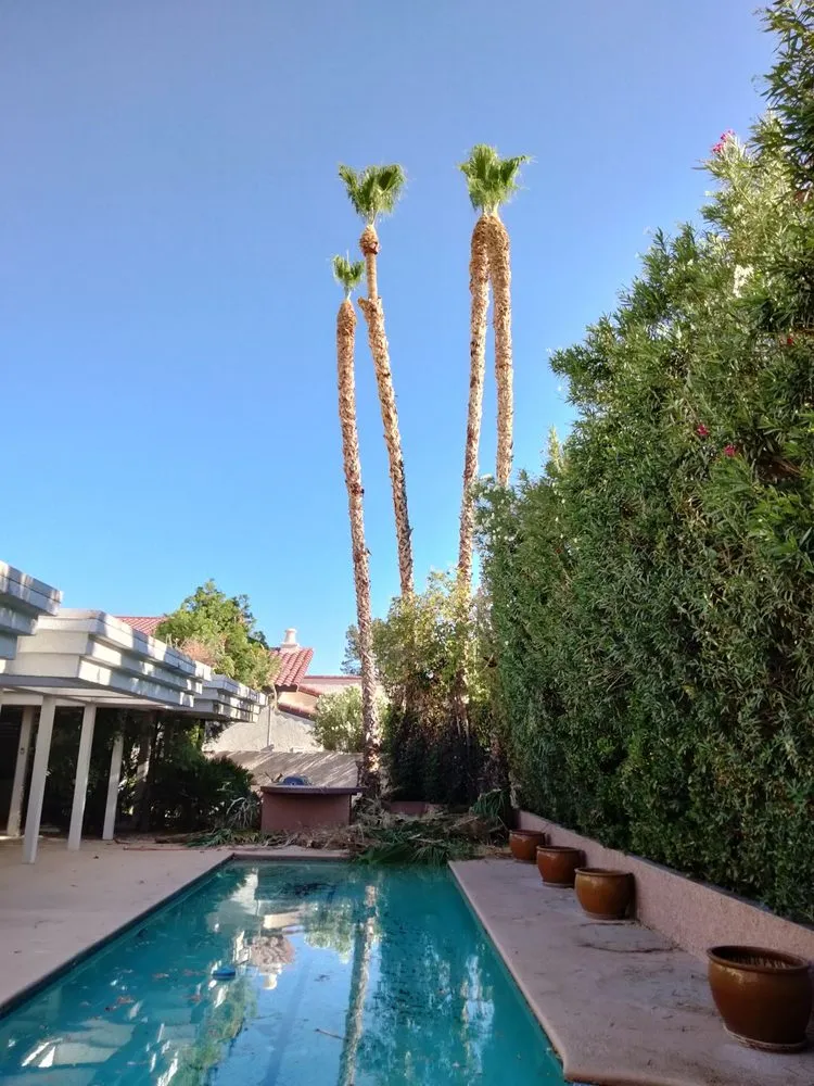 Local lawn care service near you in Las Vegas, NV by Tus Amigos Tree Services