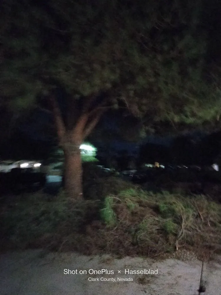 Professional garden landscaping in Las Vegas, NV - Tus Amigos Tree Services