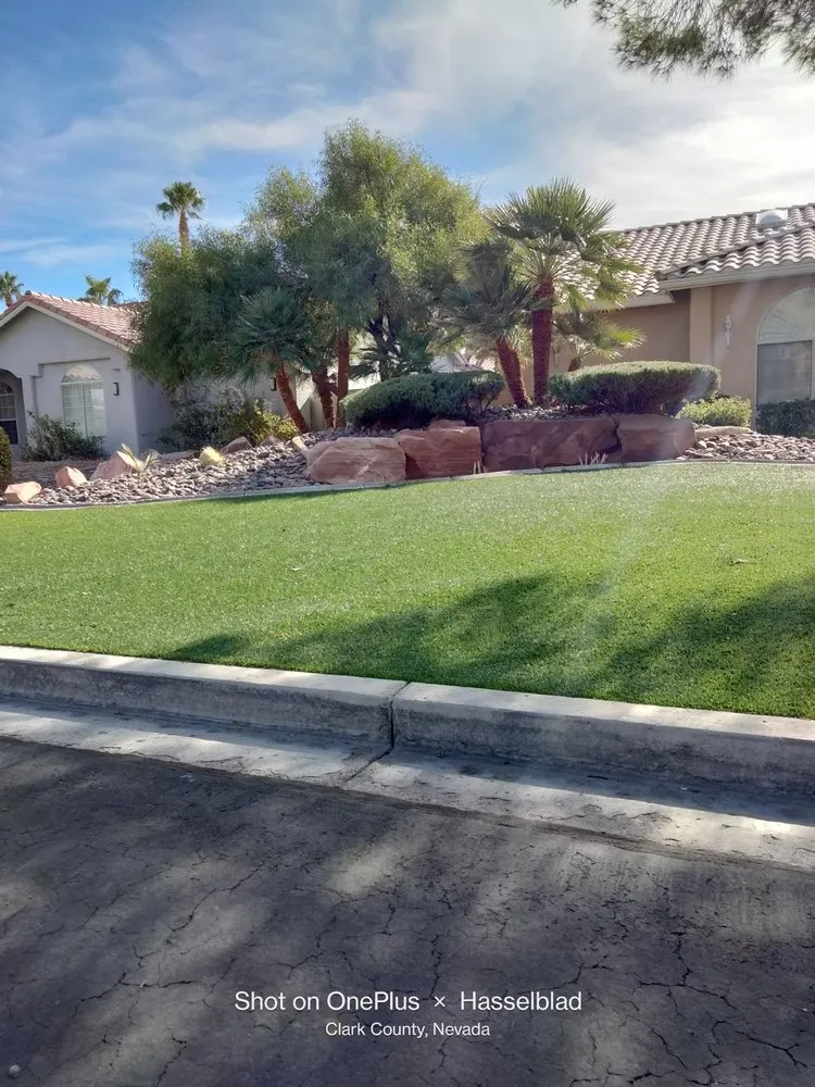 Expert outdoor landscaping in Las Vegas, NV by Tus Amigos Tree Services