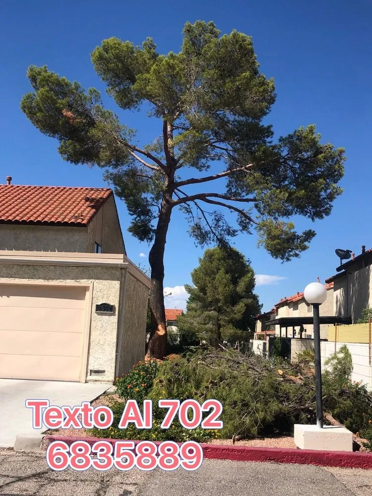Reliable lawn mowing service for homes in Las Vegas, NV by Tus Amigos Tree Services