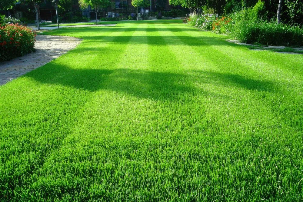 Local lawn mowing service for beautiful yards in Tuscaloosa, AL by Tuscaloosa Lawn Service