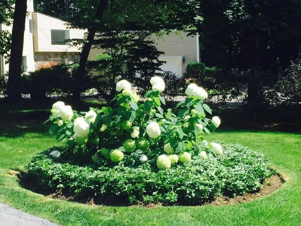 Top-rated landscape design in New Fairfield, CT - Tuscany Landscape Design