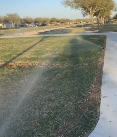 Trusted landscape design for year-round maintenance in San Antonio, TX by Tuscany Landscaping