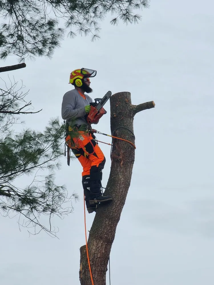 Trusted garden landscaping for outdoor upgrades in Mathias, WV by Tusings Tree And Landscaping Service