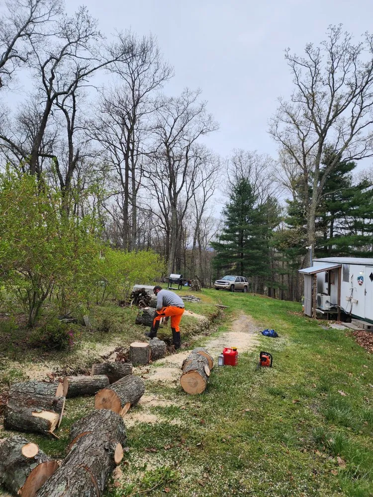 Top-rated yard cleanup service experts serving Mathias, WV - Tusings Tree And Landscaping Service
