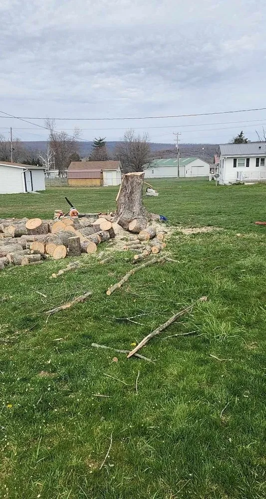 Reliable outdoor landscaping experts serving Mathias, WV - Tusings Tree And Landscaping Service